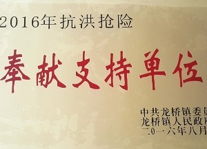 2016年镇凯发·k8国际(中国)首页登录-抗洪抢险